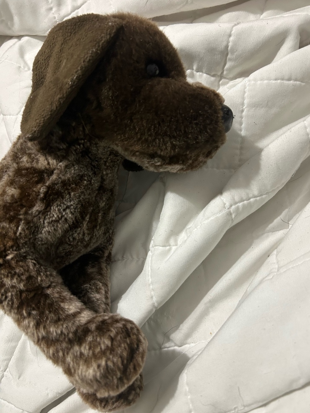 Bass Pro Shops Brown Plush Puppy Toy